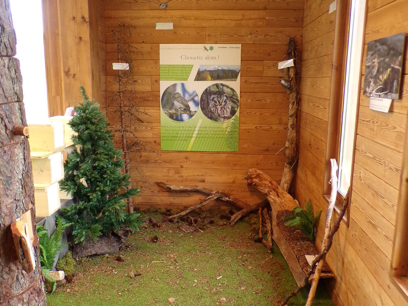 exposition-maison-tourbieres