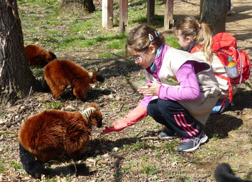 Atelier - Soigneur en herbe_Peaugres