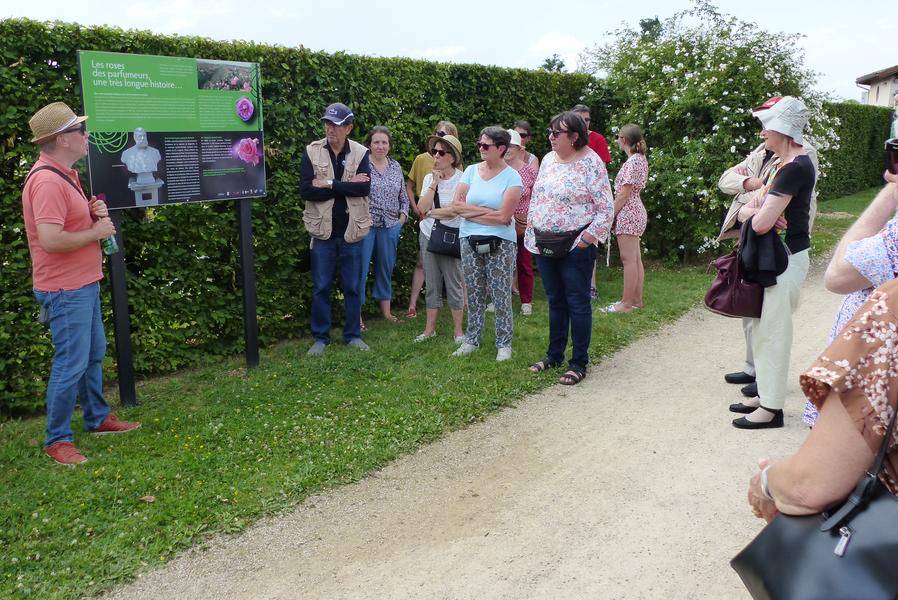 Vsite guidée de la roseraie de Saint-Galmier_Saint-Galmier