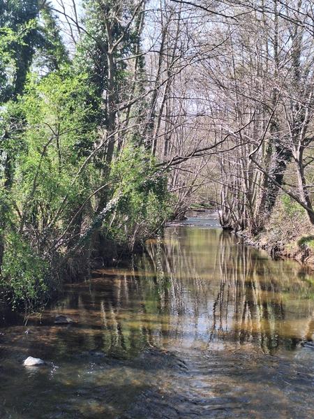 Au fil de la Morge, entre Nature et Histoire