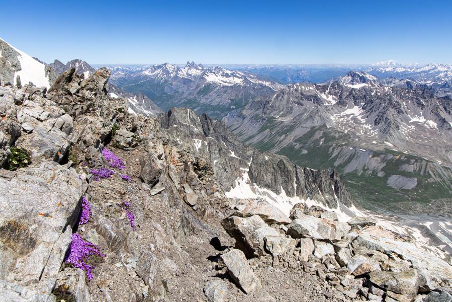 - © Thierry Maillet, Parc national des Ecrins. 133715e_HD - © Thierry Maillet, Parc national des Ecrins.
