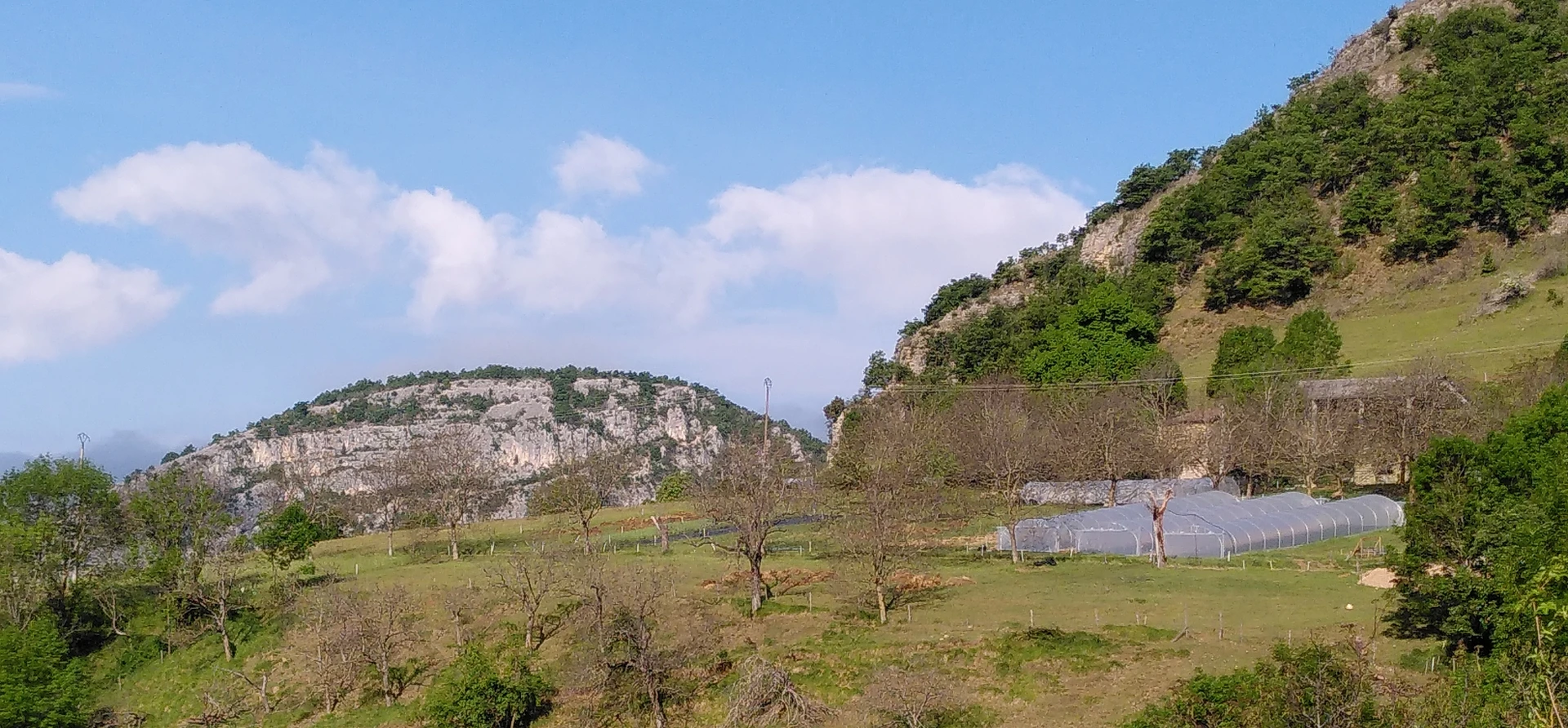 Maraichage de montagne sur Sol Vivant