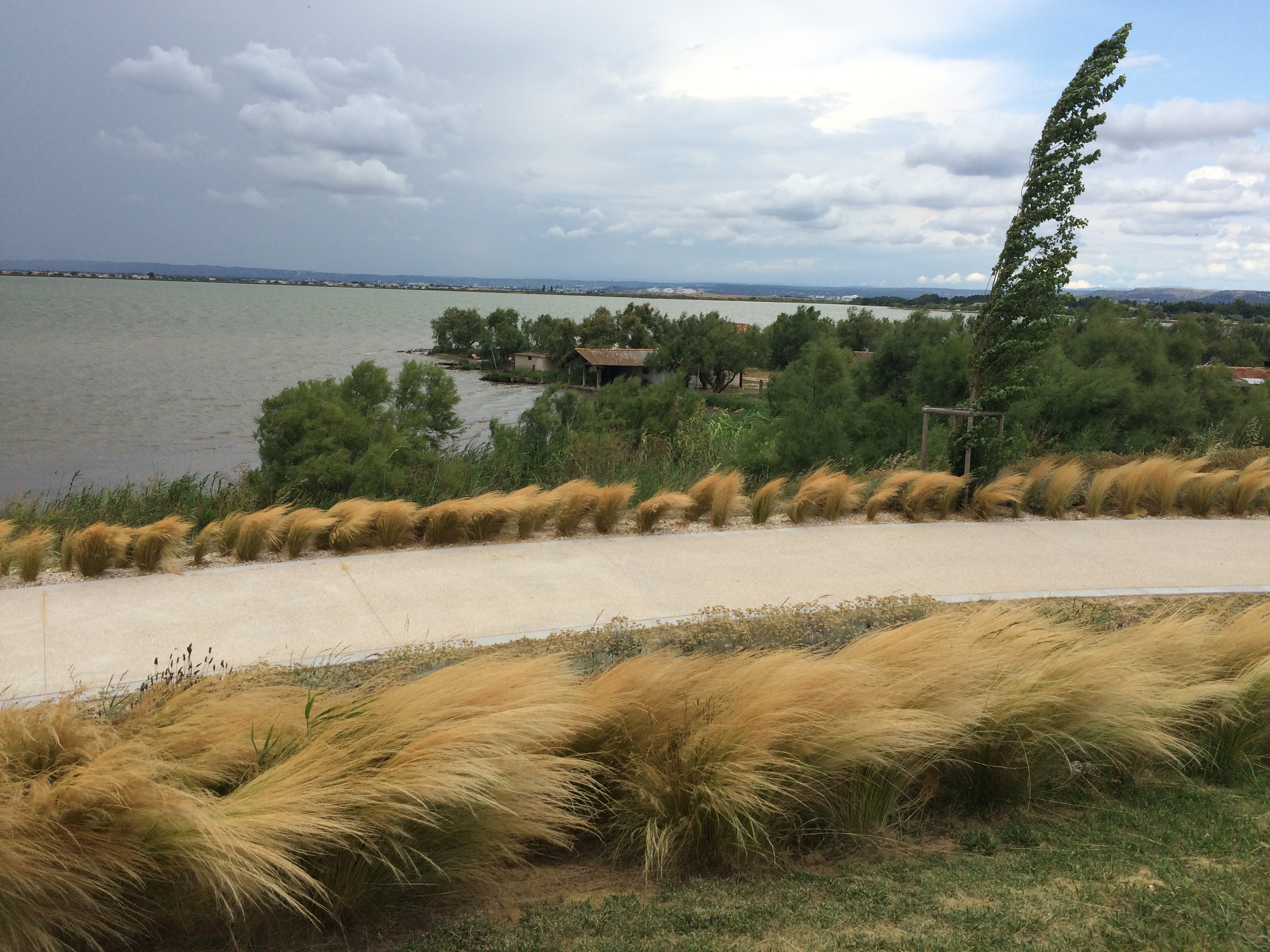 Bouches-du-Rhône en Paysages - Marignane, au fil de l'eau