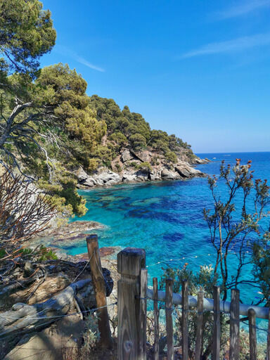 Escapade au jardin du Rayol