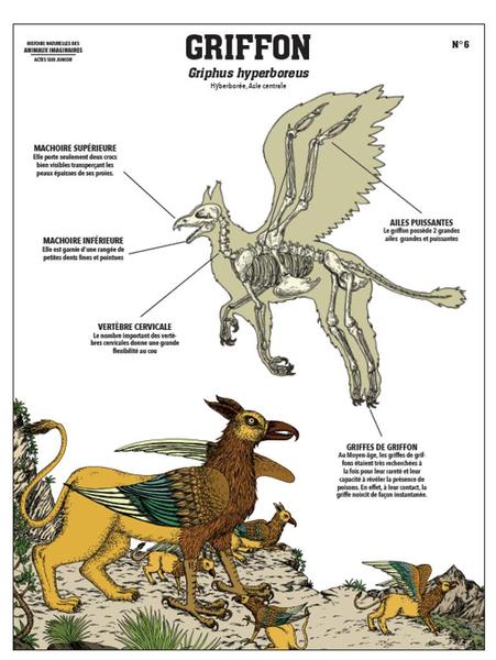 Exposition "Histoires naturelles des animaux imaginaires"
