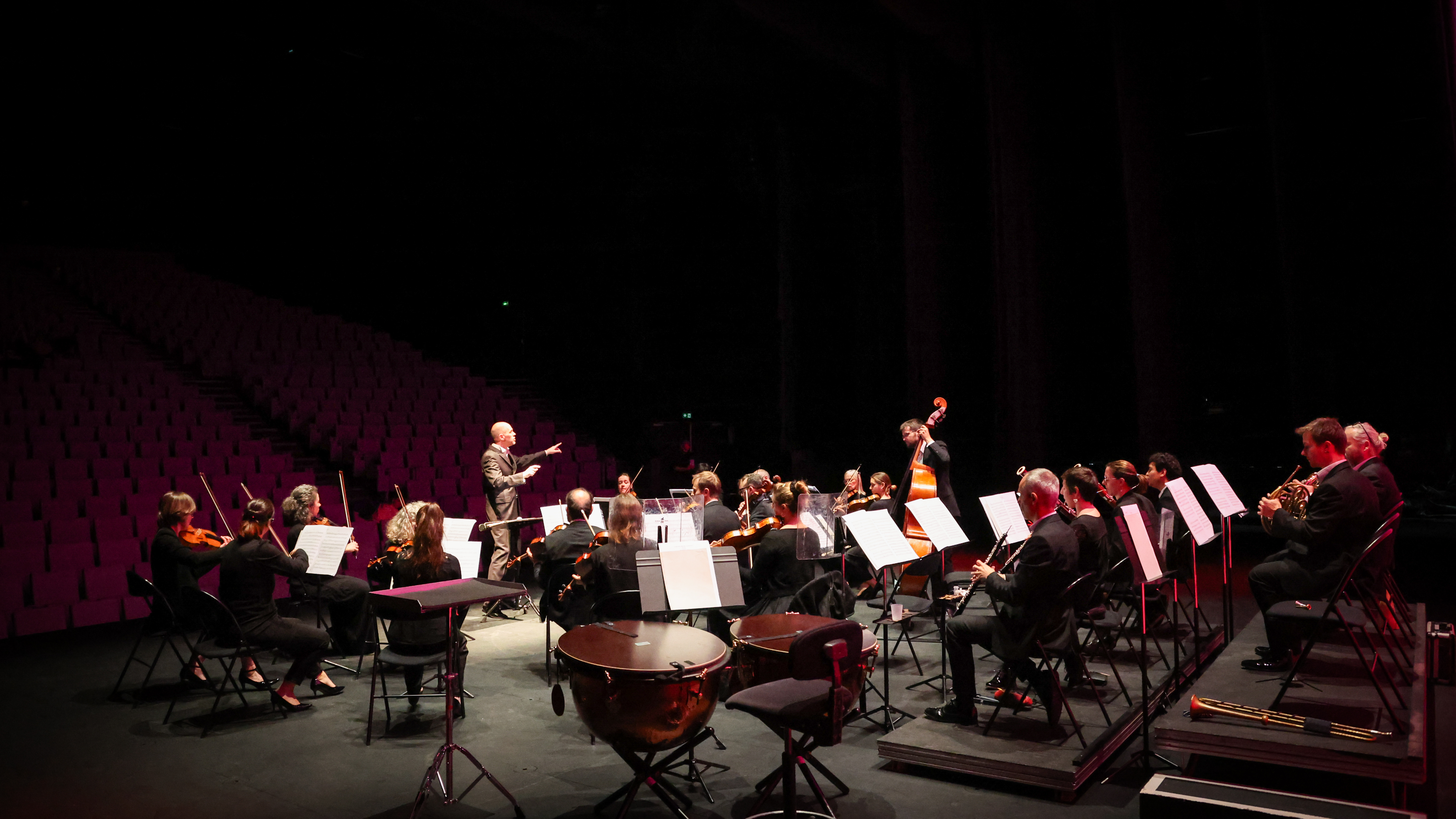 Orchestre des pays de savoie - concert du nouvel an_Cluses