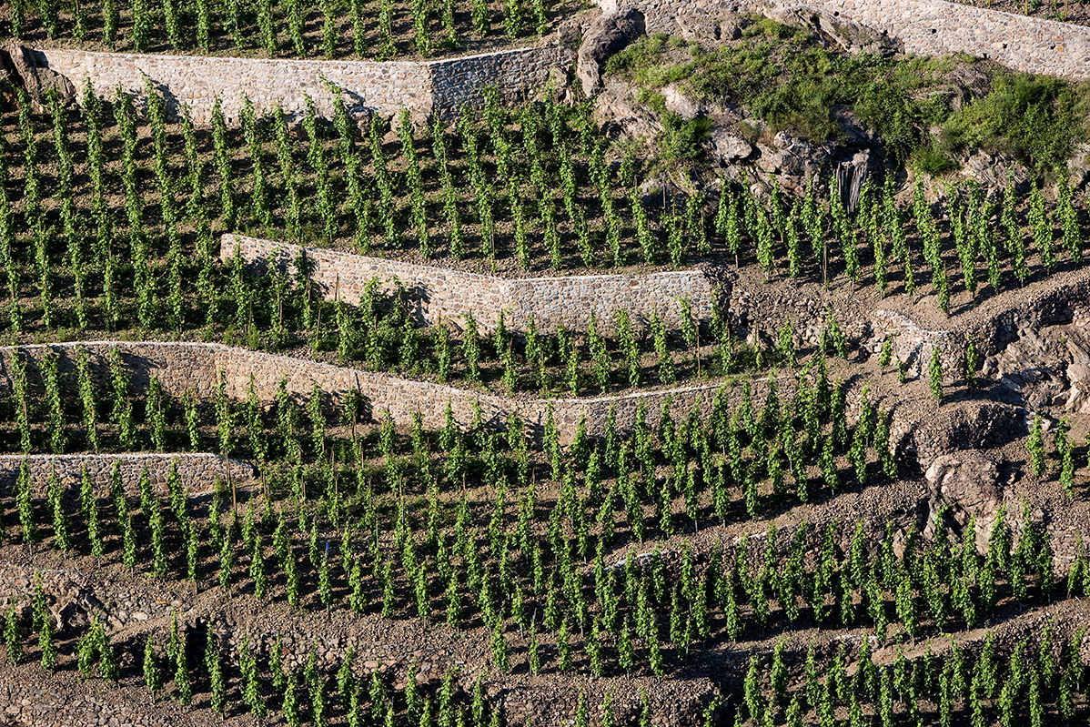 Balade en trottinette dans les vignes_Malleval