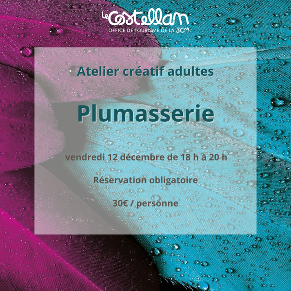 Atelier créatif : plumasserie