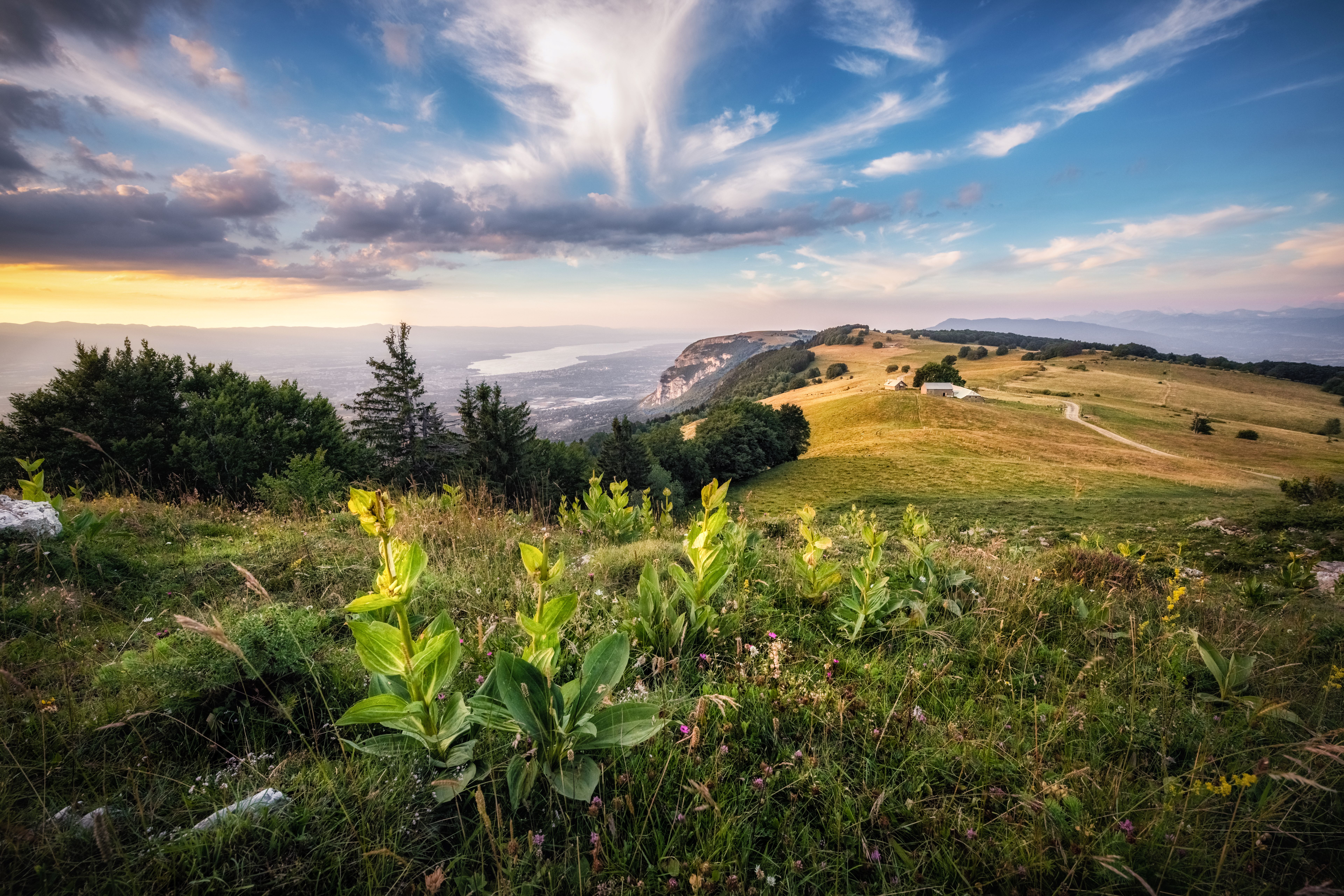 photo sommet Salève