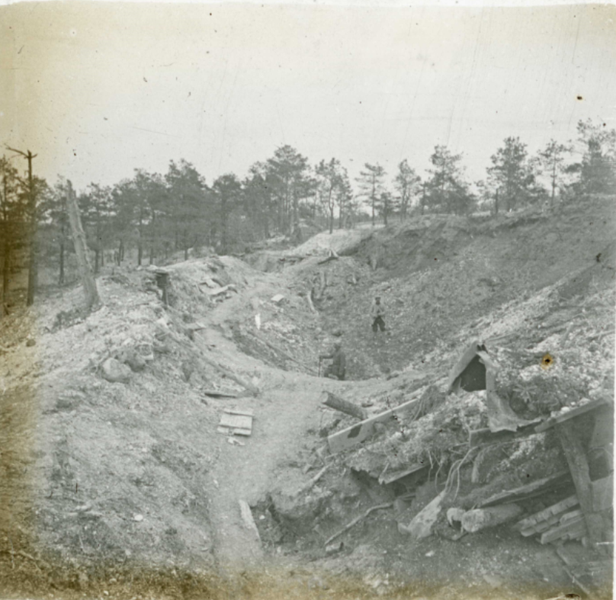 Visite guidée - Les cicatrices de la terre : la nature dans la Grande Guerre