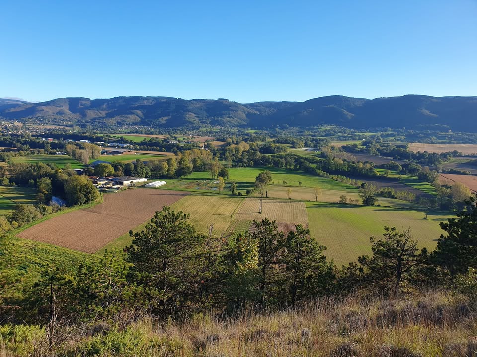 489884839_676398561998706_2727337215801400057_n