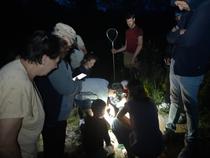 Soirée amphibiens_Arthun