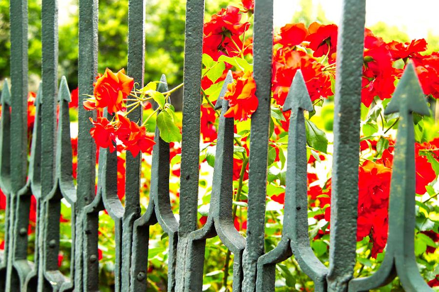 Parc de la Grille Moirans