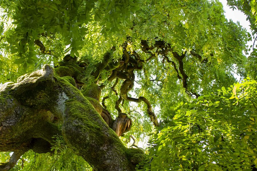 Bibliothèque municipale