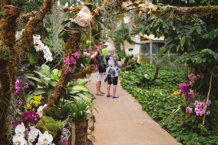 Visite de la serre tropicale des Antilles de Jonzac