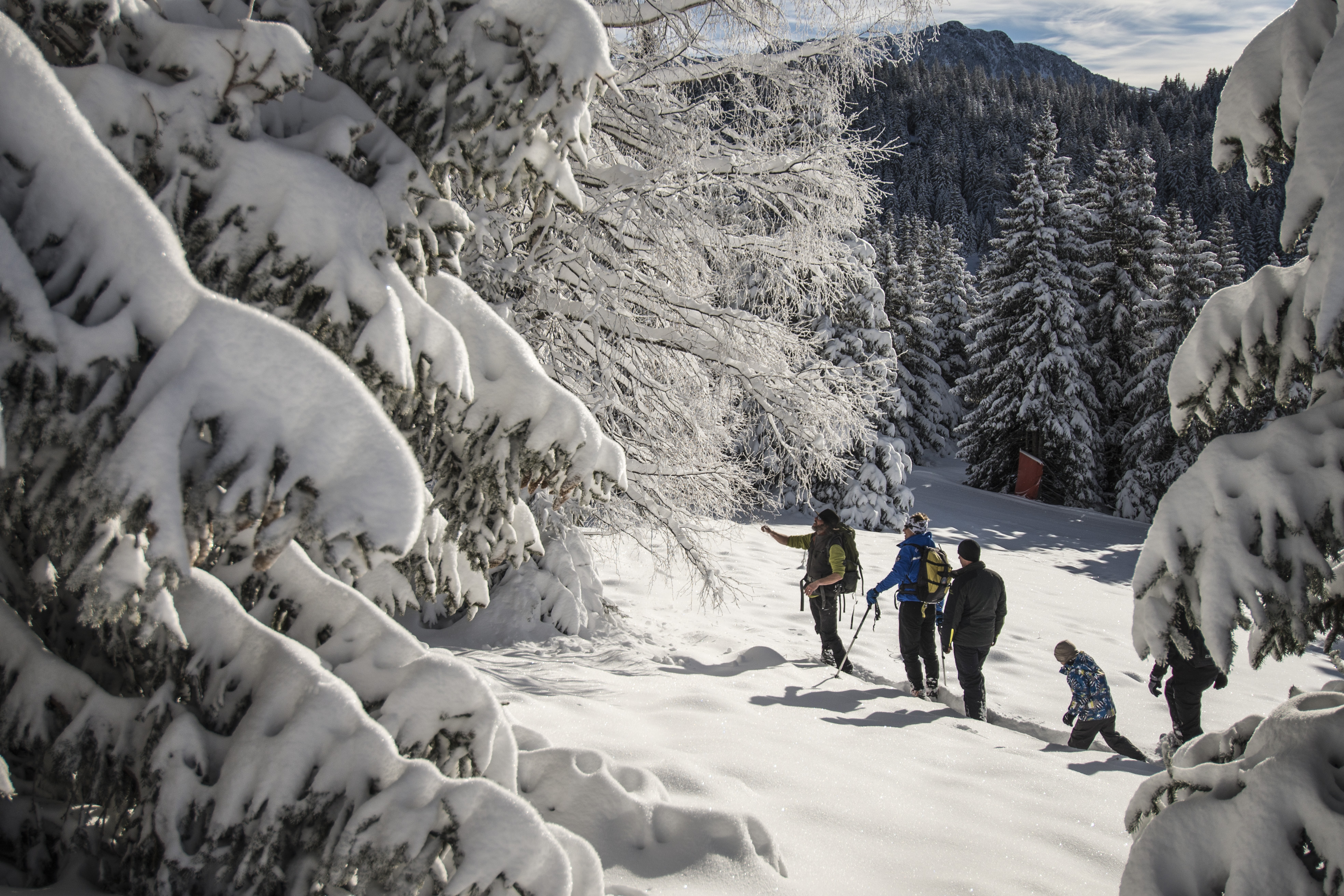 Snowshoeing trail: Pré Gaudet
