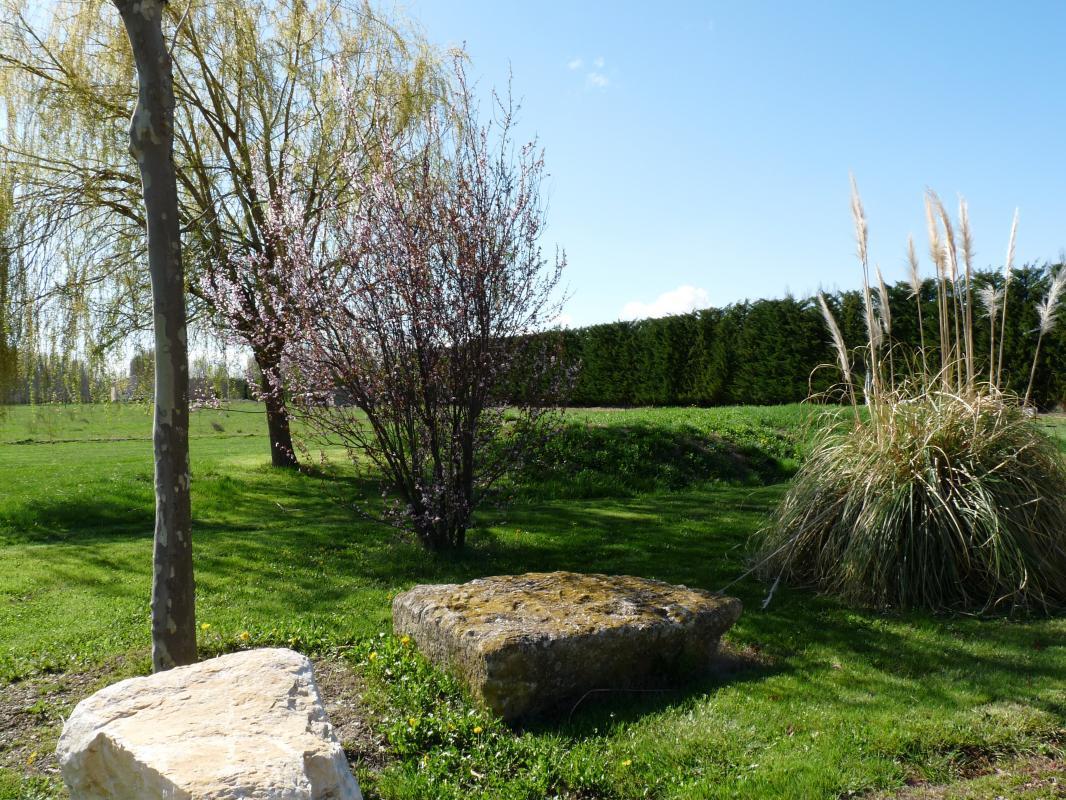 La Cardabelle, Mollégès - photo 36