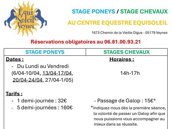 Stages Equestres Poneys/Chevaux