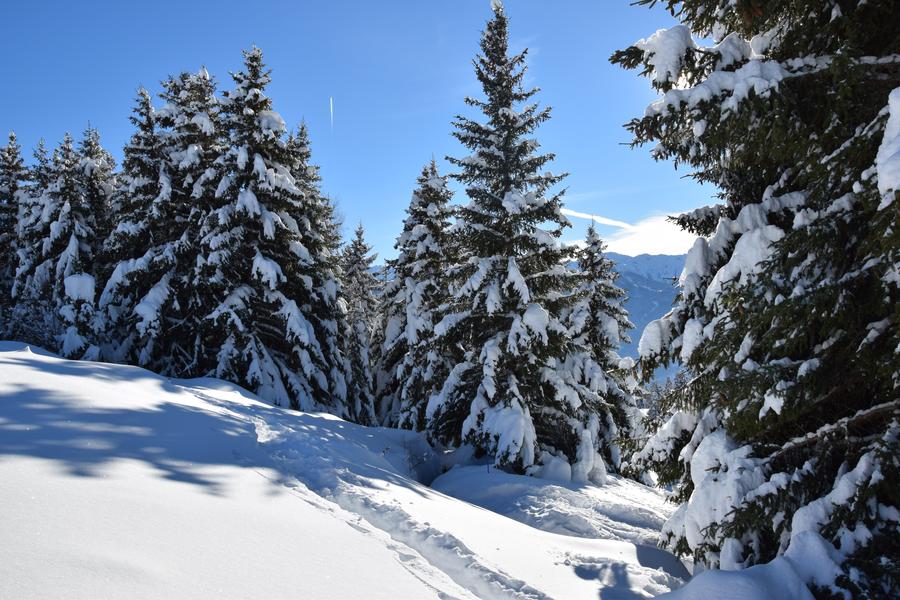 Balade à raquettes - Boucle des crêtes_La Plagne Tarentaise