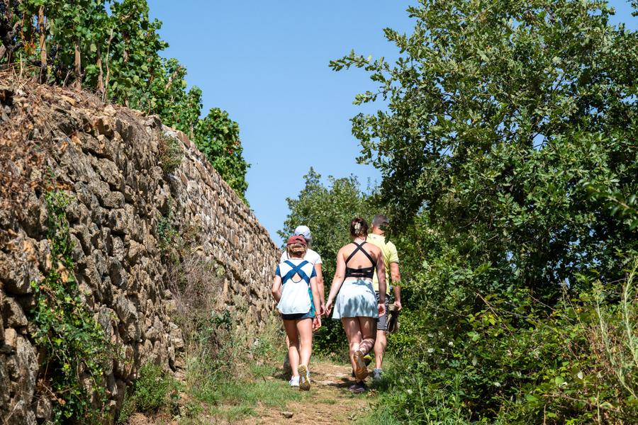 Le sentier des Grand(e)s Cru(e)s_Tupin-et-Semons