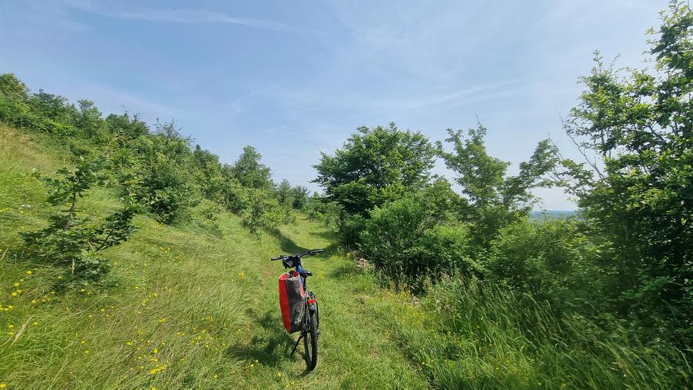 VTTAE n°10 Coligny Plateau de Vergongeat