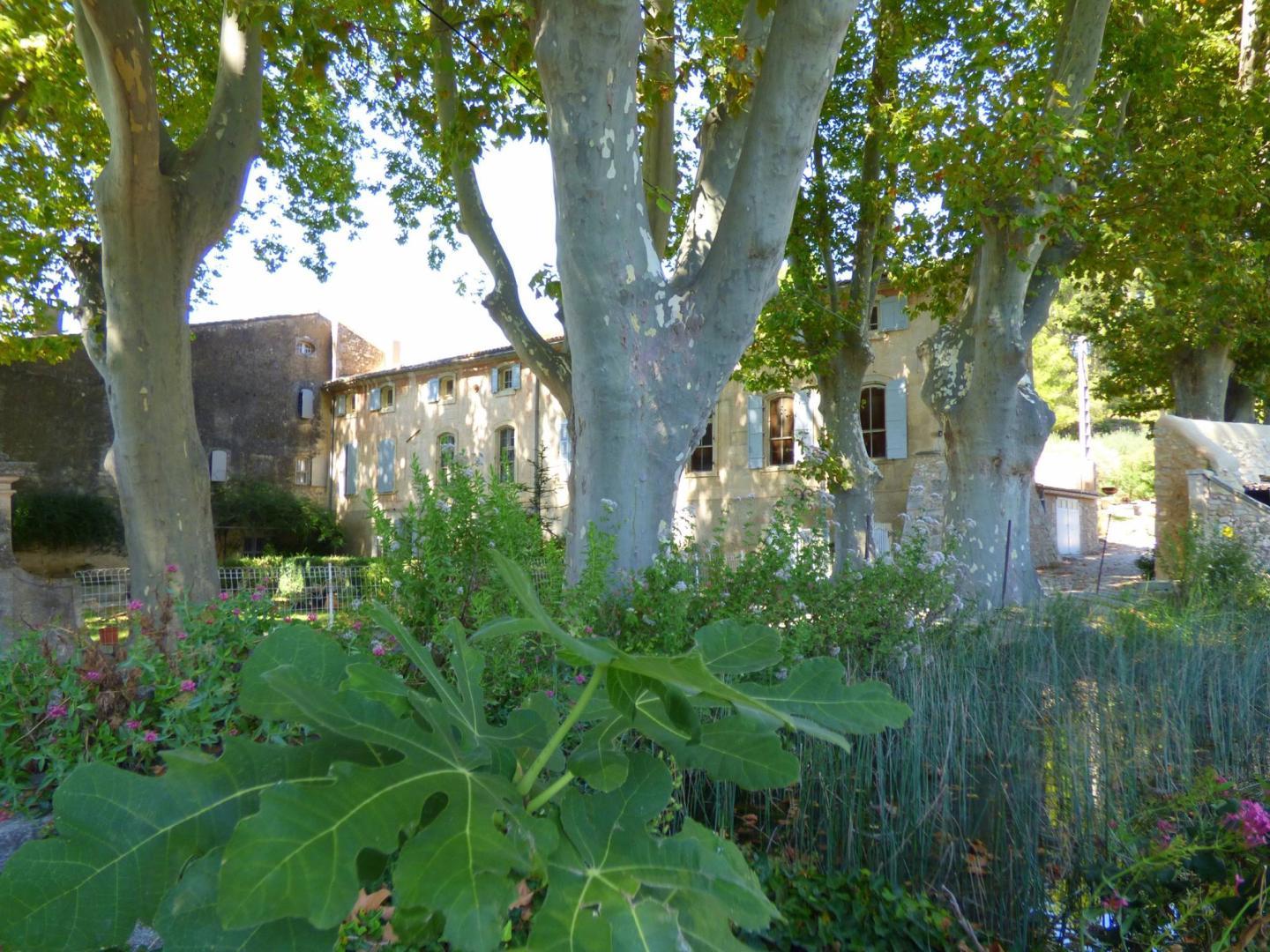 Le Mas Saint Roman - La pichoulino, Maussane-les-Alpilles - photo 30