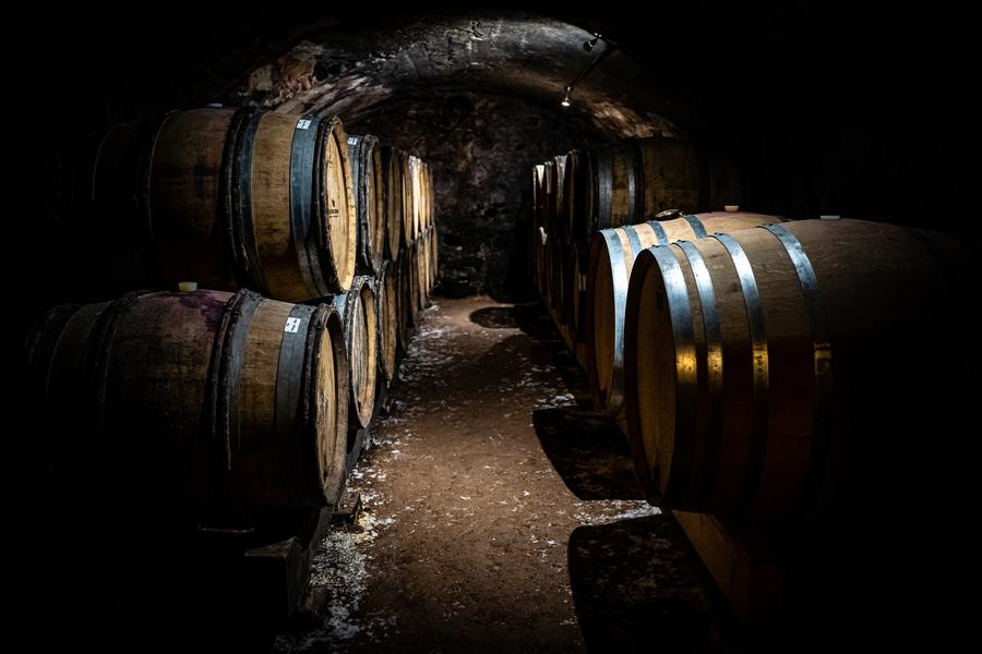 Domaine Frédéric Berne - parc à barrique