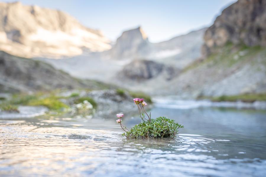 Tour de la roche d'Etache en 3 jours_Val-Cenis