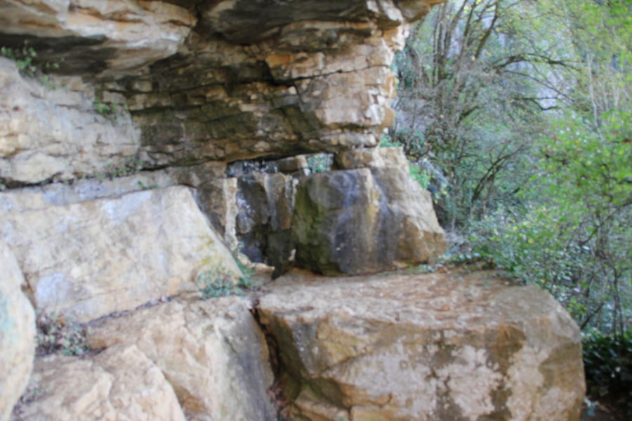 Groote de La Roche - Salavre