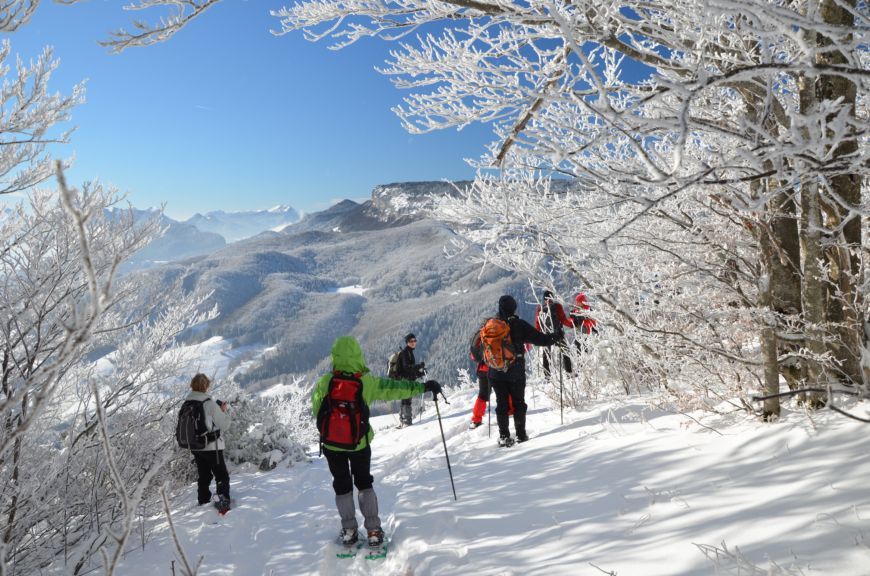 dans la neige de chartreuse