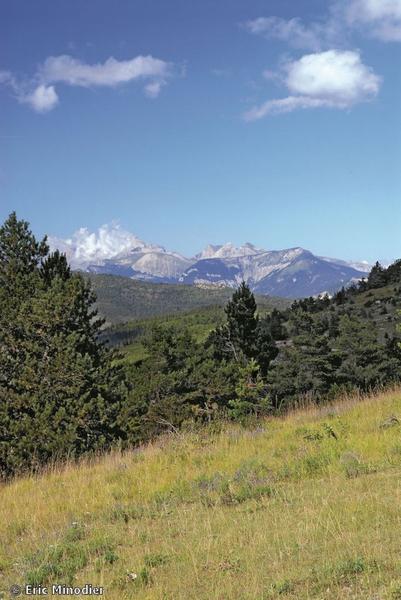 Les crêtes de Tarsimoure