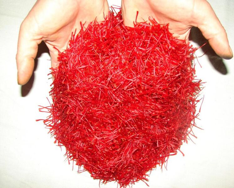 Ô Délices de la Bergère