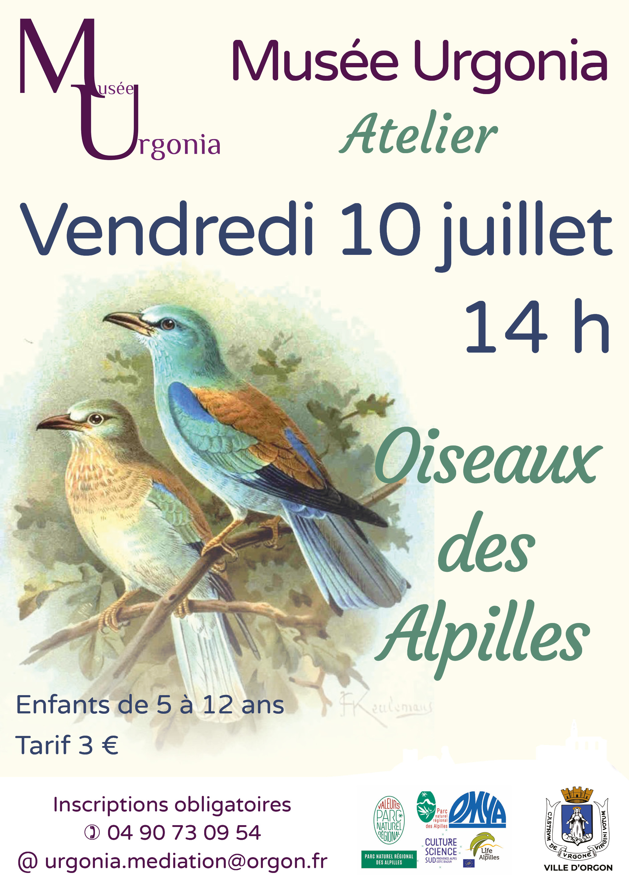 Atelier Life - Les oiseaux des Alpilles