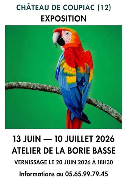 Exposition au château de Coupiac