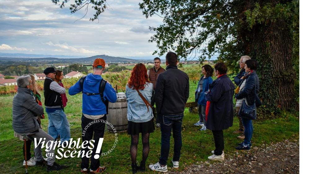 Vignobles en scène - les journées vignobles et découvertes en Loire Forez_Montbrison
