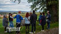 Vignobles en scène - les journées vignobles et découvertes en Loire Forez_Montbrison