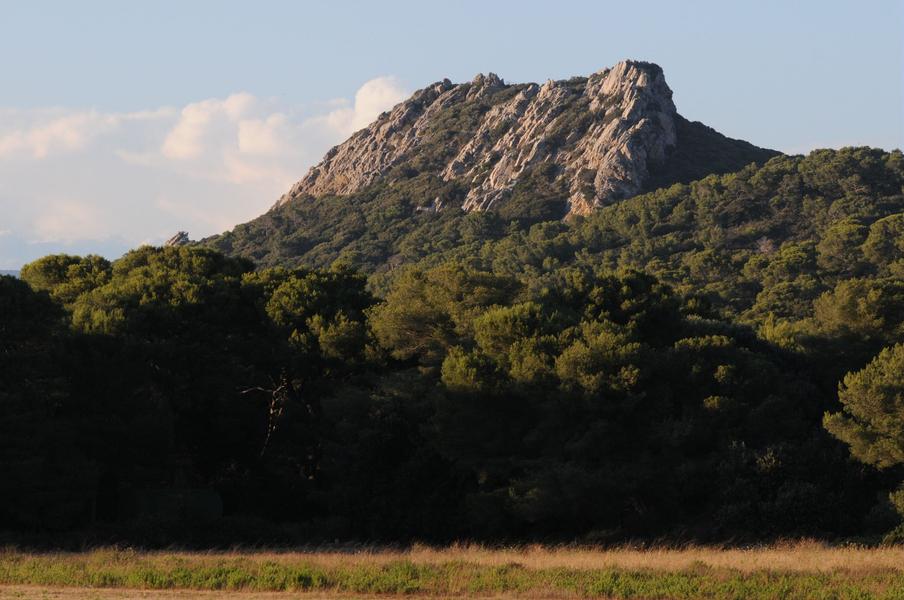 Point rencontre : Paysages insulaires (Porquerolles)_Hyères