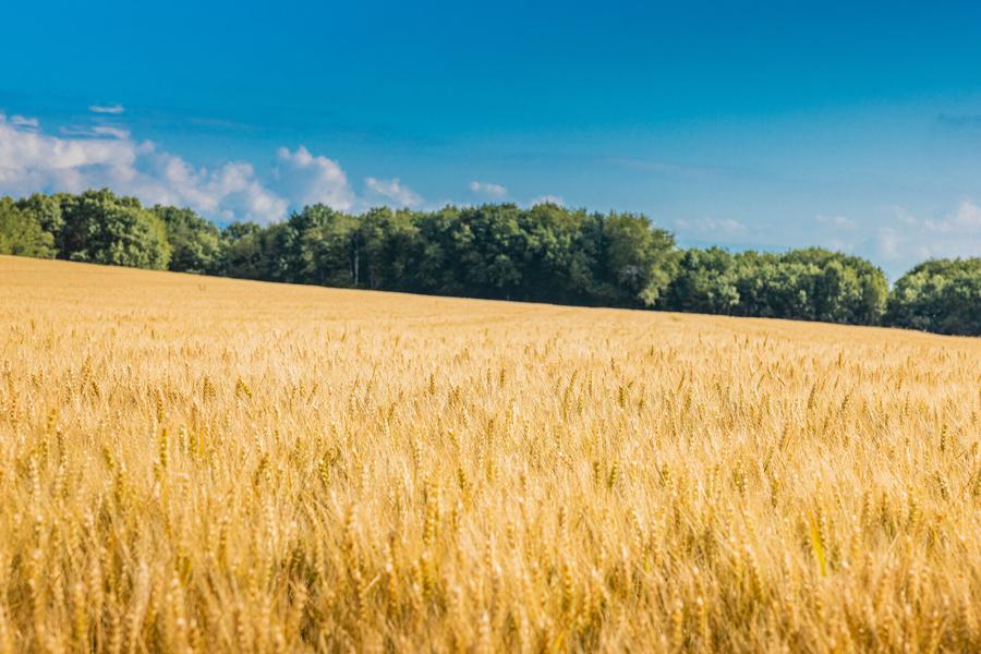 Sentier Nature du Vuache
