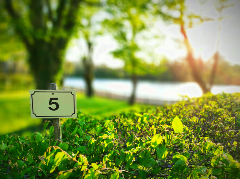 Emplacement-ombragé