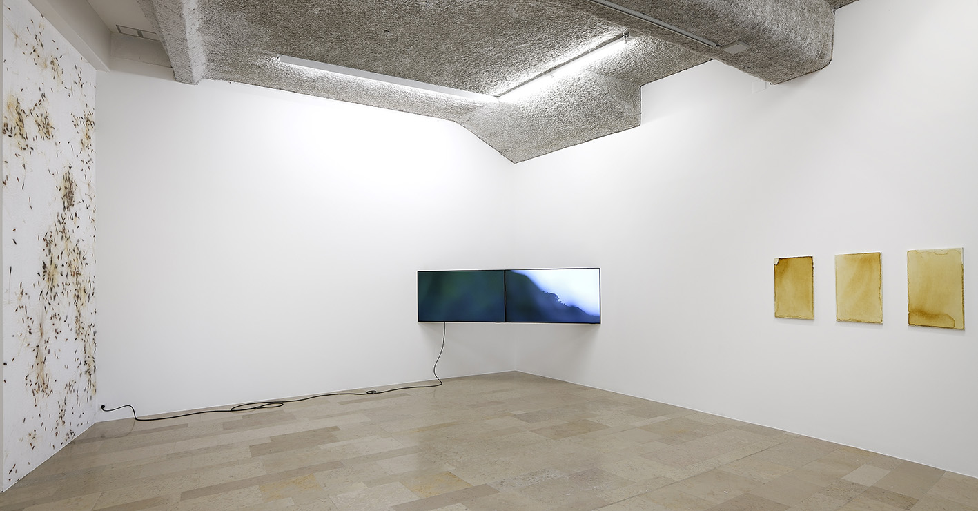 Vue de l'exposition de Marie Ouazzani et Nicolas Carrier
