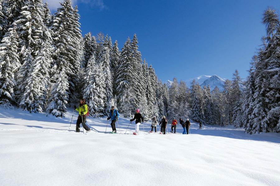 Balade raquettes à neige dans la vallée de Chamonix