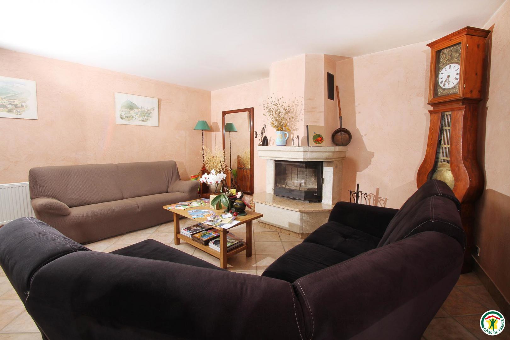 Le coin salon : canapés, table basse, cheminée, télévision écran plat.
