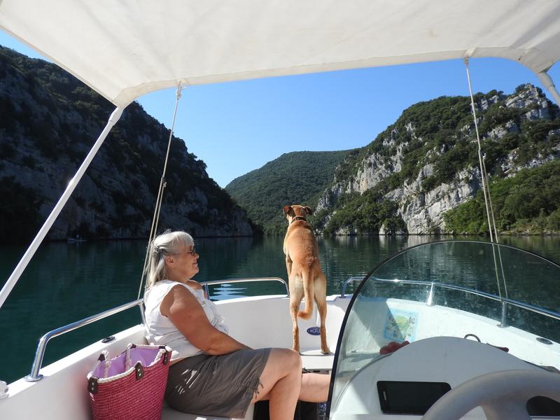 Alizé Electronic Location - Saint-Julien Le Montagnier