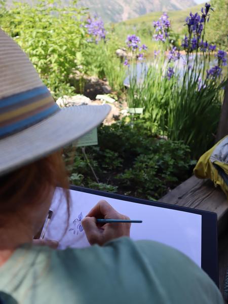 Stage d'aquarelle naturaliste_Villar-d'Arêne