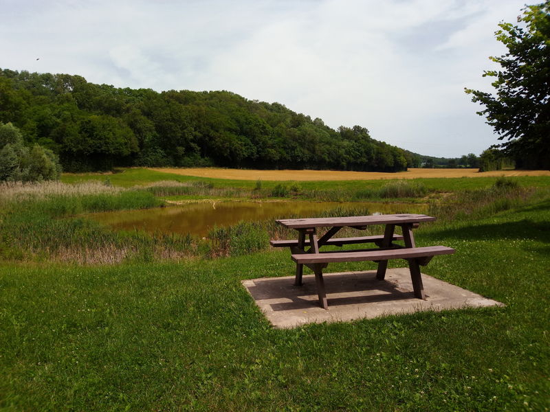 Aire de pique-nique Étang de la Combe