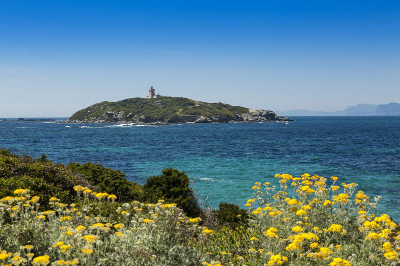 Le Rouveau - Archipel des Embiez