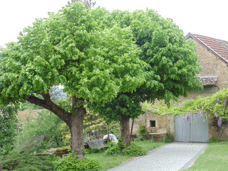 Le Clos Dauphin à La Balme les Grottes - Balcons du Dauphiné - Isère