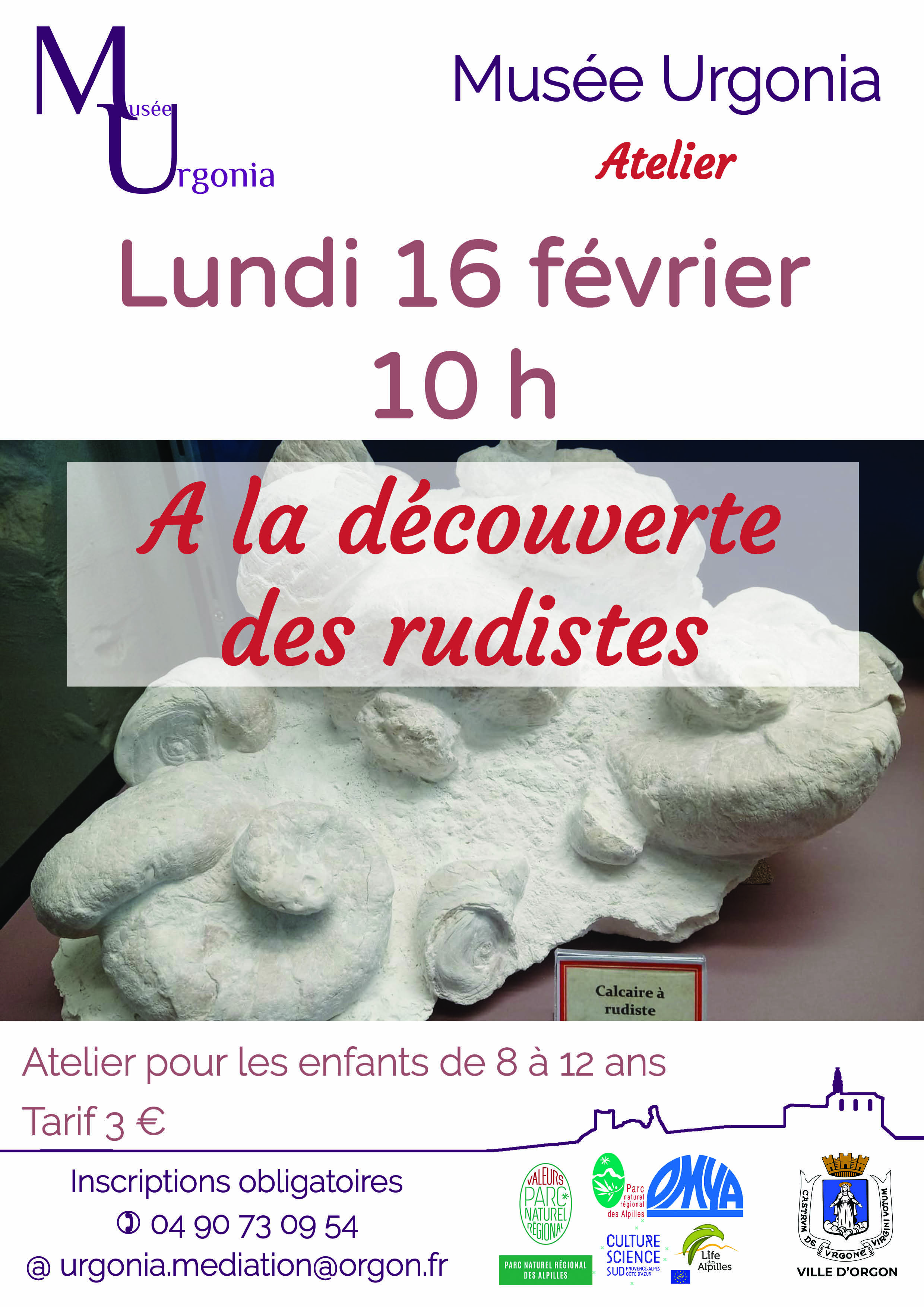 Atelier "A la découverte des rudistes"