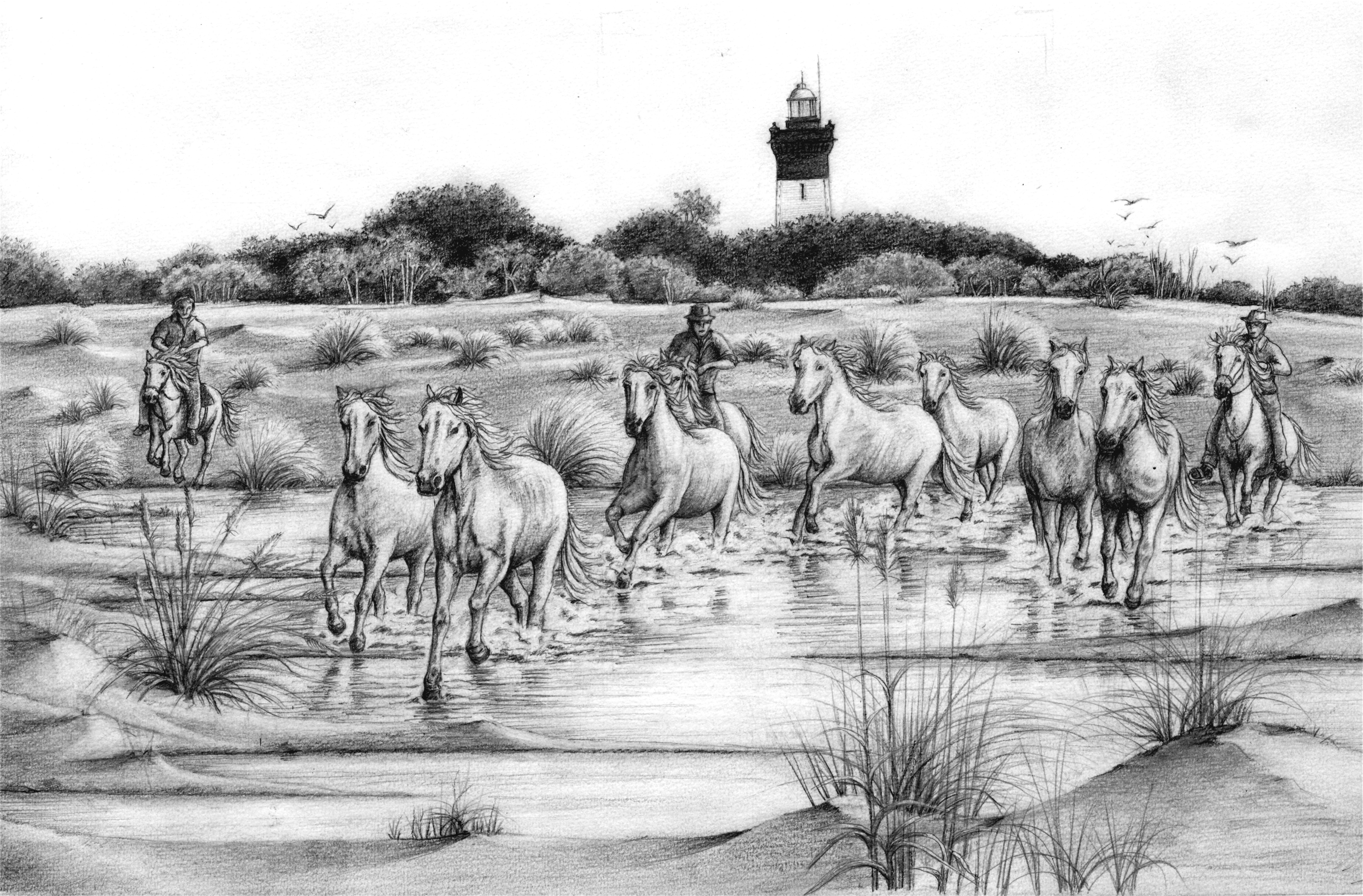 Exposition « Camargue sauvage »