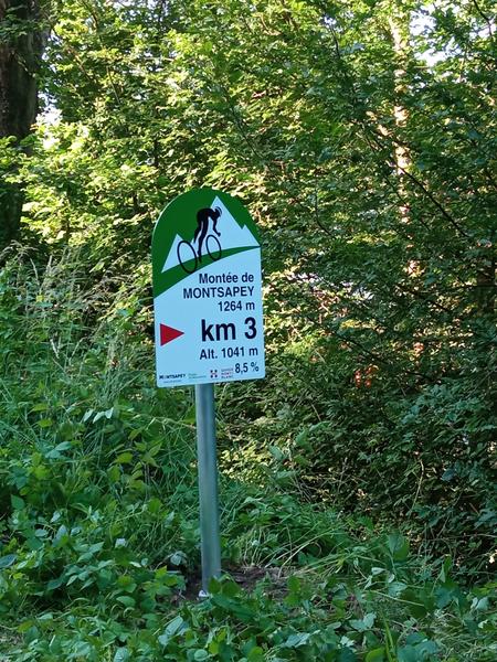 Image Montée à Montsapey